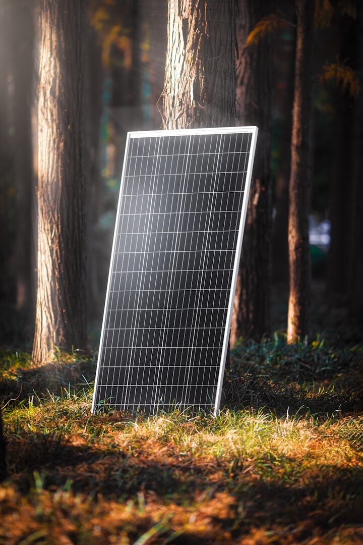 a white net in the woods